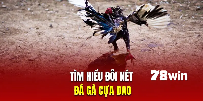 Cách Đá Gà Cựa Dao - Hướng Dẫn Quy Luật Chính Xác Nhất 4 Tìm hiểu thông tin về hình thức đá gà cựa dao